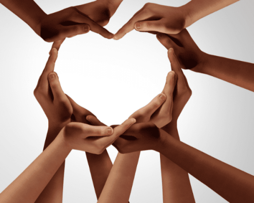 Square image (600 x 600 px) (4)